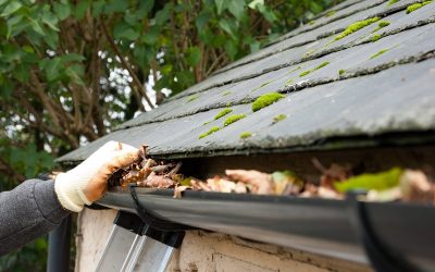 Do Gutter Guards Mean no More Cleaning?