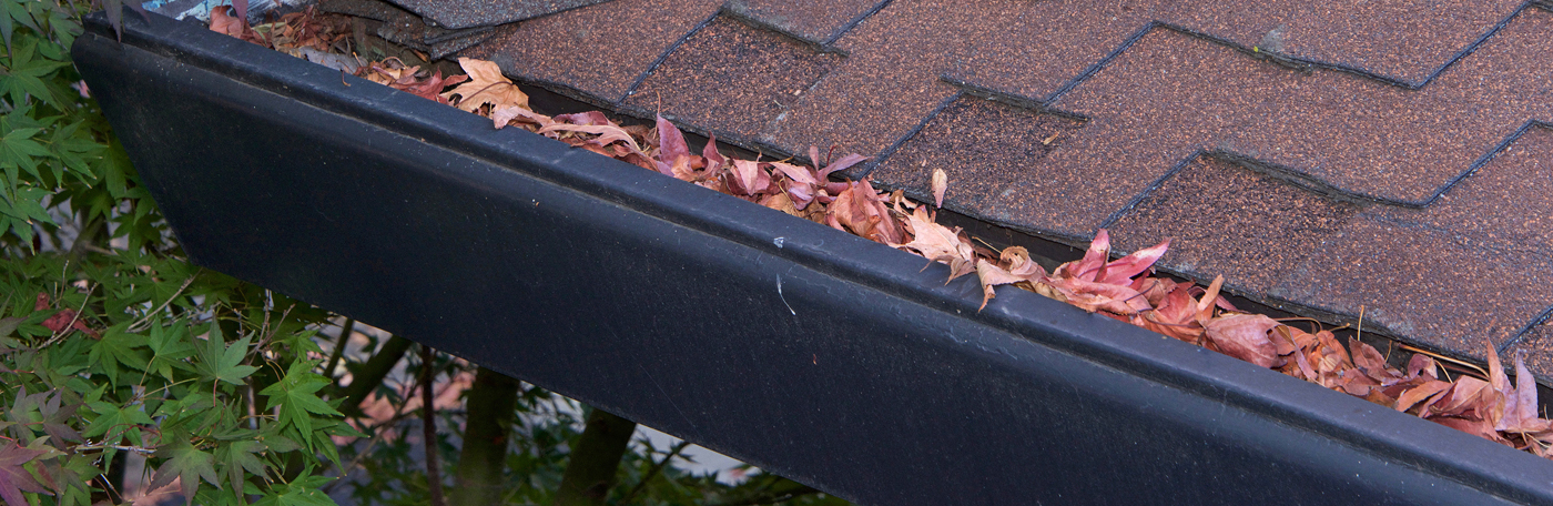 805 Gutters — Gutter Maintenance