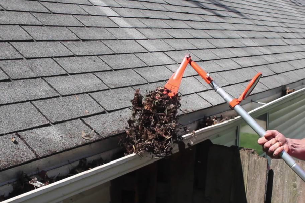 Roof And Gutter Cleaning