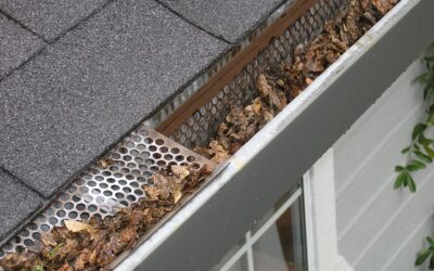 Everything You Need to Know About Gutters and Gutter Maintenance