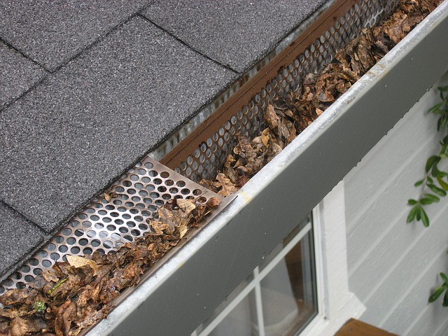 Everything You Need to Know About Gutters and Gutter Maintenance